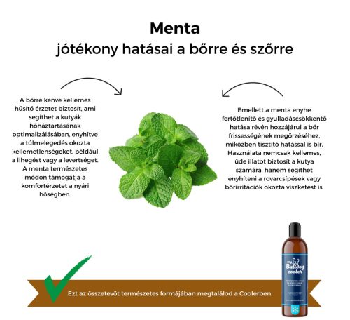 My Bulldog Cooler – pflanzliches Pflege- und Kühlgel