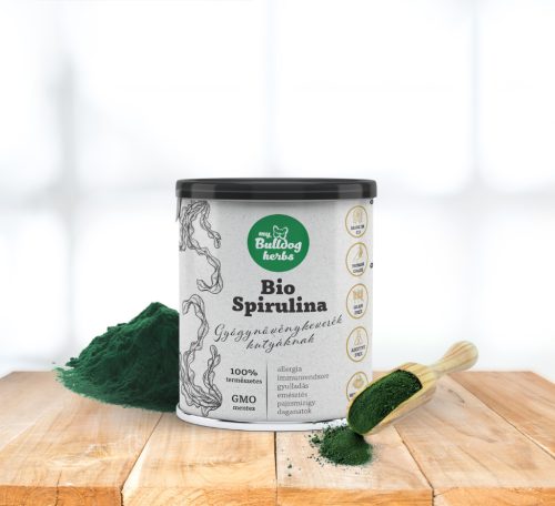 BIO Spirulina - Pulver - 100 g