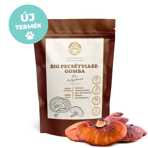 BIO Reishi Mushroom (Ganoderma) – powder – 100 g