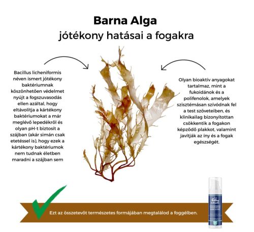 My Bulldog Tooth Paste - gyógynövényes fogtisztító gél barna algával