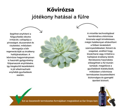 My Bulldog Ear Drops - gyógynövényes fültisztító oldat kövirózsával