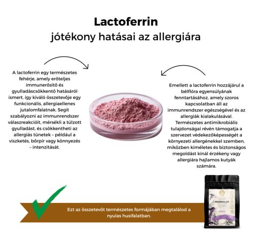 Nyúlhúsos - HUSIFALAT - funktionaler Snack – 100 g