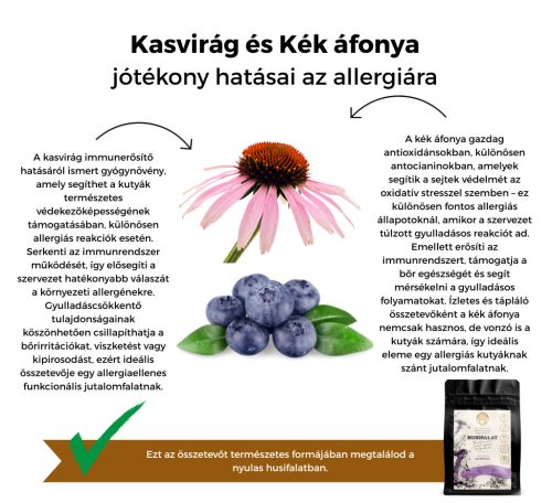 Nyúlhúsos - HUSIFALAT - funktionaler Snack – 100 g