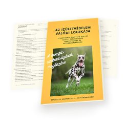 AZ ÍZÜLETVÉDELEM VALÓDI LOGIKÁJA