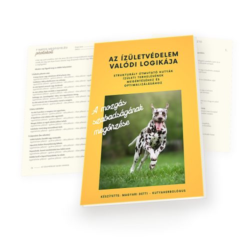 AZ ÍZÜLETVÉDELEM VALÓDI LOGIKÁJA