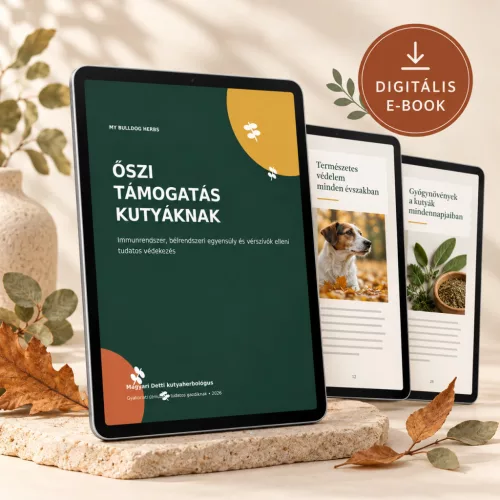 ŐSZI TÁMOGATÁS KUTYÁKNAK