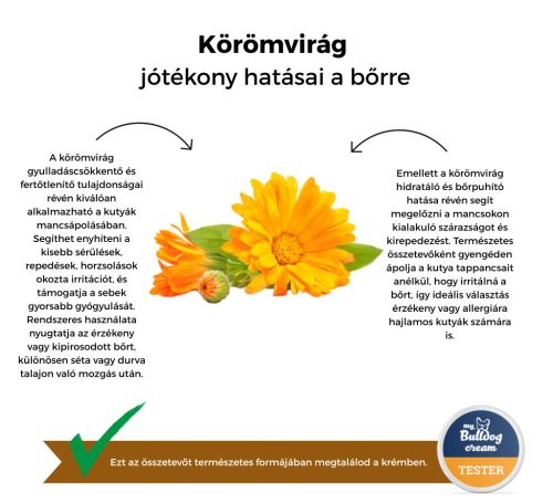 My Bulldog Cream - Tester - Unraffinierte Kakaobutter mit Ringelblume und Kamille