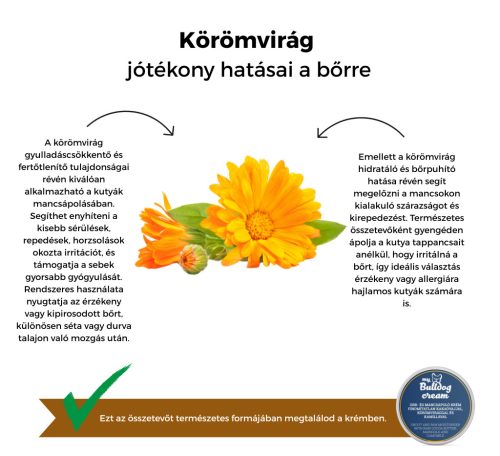 My Bulldog Cream – Nasen- und Pfotenpflege-Cremes – Unraffinierte Kakaobutter mit Ringelblume und Kamille