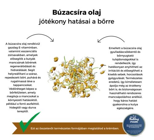 My Bulldog Cream – Nasen- und Pfotenpflege-Cremes – Unraffinierte Sheabutter mit Jojobaöl