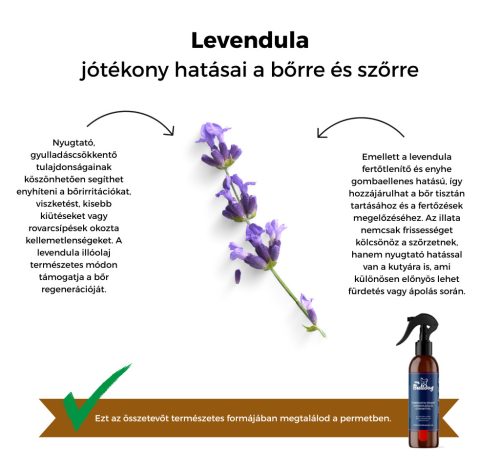 My Bulldog - lavender and lemongrass spray