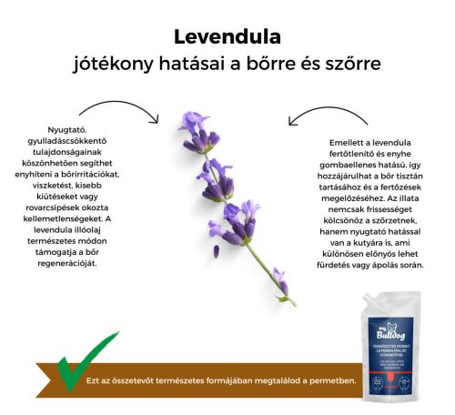 My Bulldog Spray – Nachfüllpackung