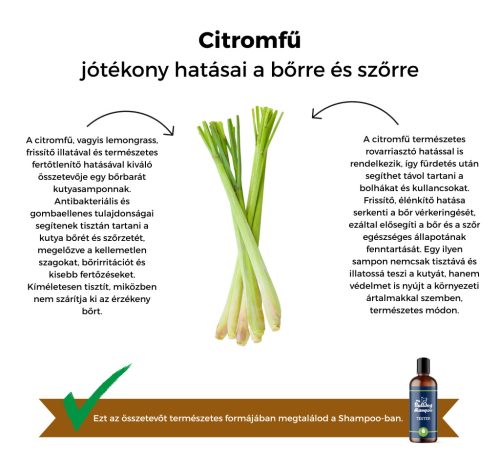 My Bulldog Shampoo - Tester - Zitronengras