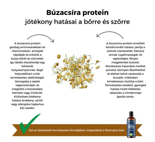 My Bulldog Shampoo - Tester - Zitronengras