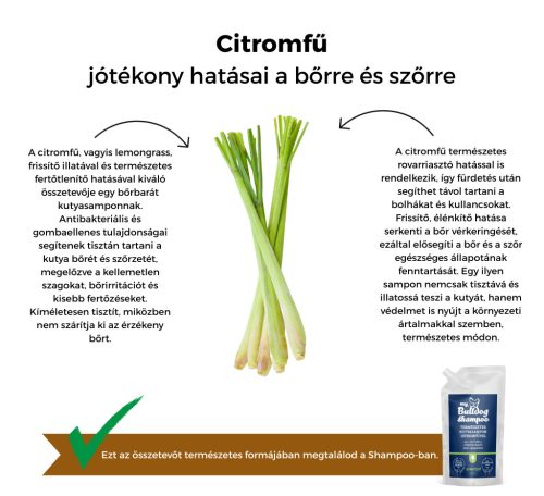 My Bulldog Shampoo – Zitronengras – NACHFÜLLPACKUNG