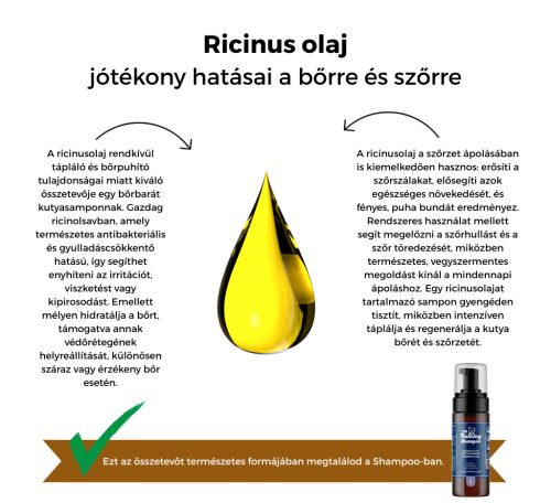 My Bulldog Shampoo – Kräuter-Hundeshampoo – Lavendel