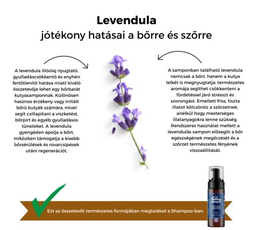 My Bulldog Shampoo – Kräuter-Hundeshampoo – Lavendel