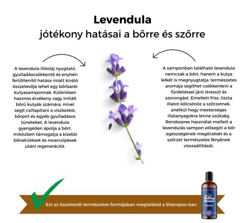 My Bulldog Shampoo - Tester - Lavender