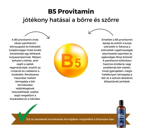 My Bulldog Shampoo - Tester - Lavender