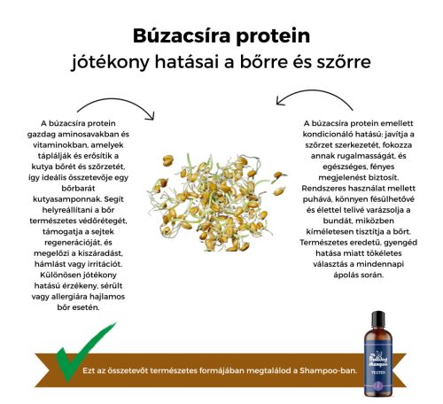 My Bulldog Shampoo - Tester - Lavender