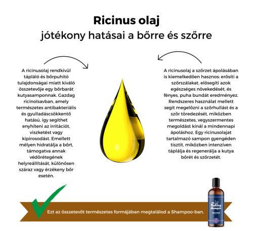 My Bulldog Shampoo - Tester - Lavender