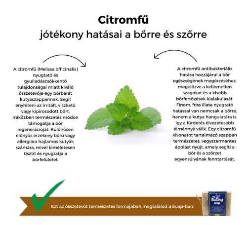 My Bulldog Soap – Kräuter-Hundeseife – Zitronenmelisse