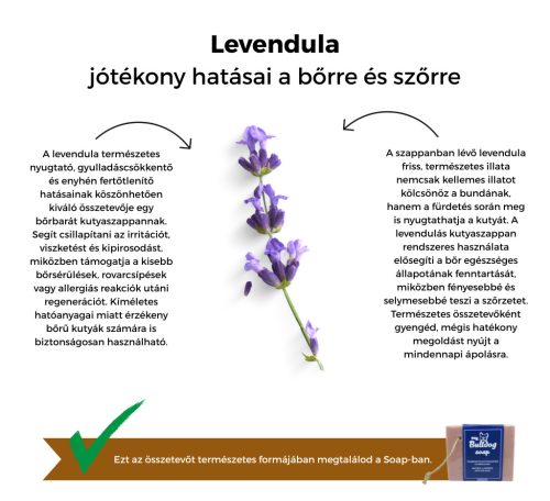 My Bulldog Soap – Kräuter-Kurzfellseife für Hunde – Lavendel