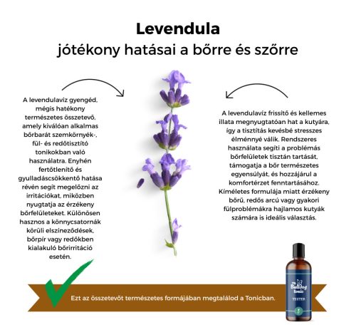 My Bulldog Tonic - Tester