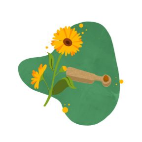 Herbal dietary supplements