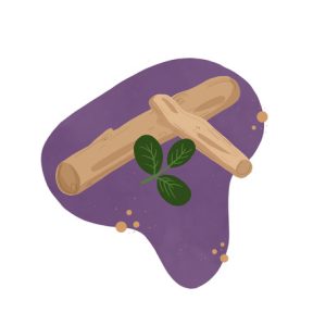 Toys and accessories