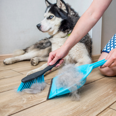 Is there really nothing you can do about constant shedding?