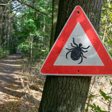 Tudományos tények a Feketeköményről