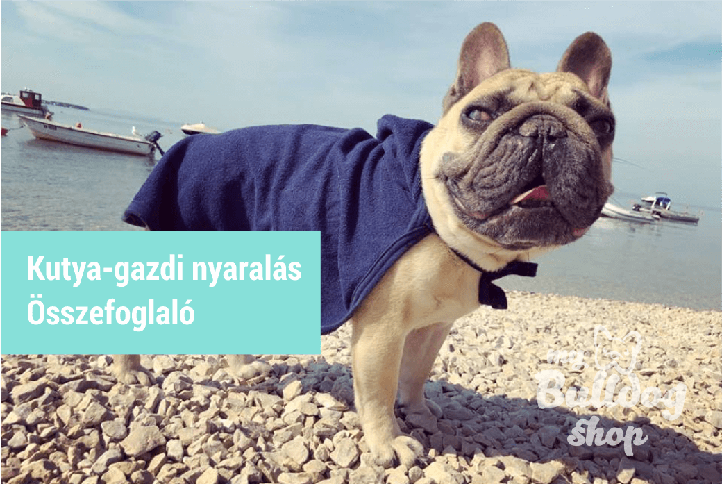 Gyönyörű, kutyabarát szállások Magyarországon: 8 kulturált, barátságos hely - Utazás | Femina